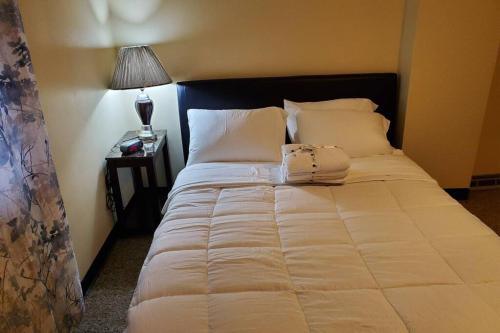 Nice and cozy home for a business or family stay. in Τζονστάουν(Πενσυλβάνια) Nice and cozy home for a business or family stay. in Τζονστάουν(Πενσυλβάνια)