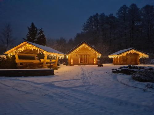 Exterior view, Chalet am See in Bad Brambach Exterior view, Chalet am See in Bad Brambach