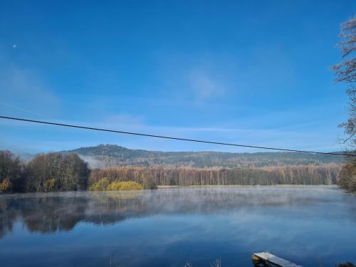 Surrounding environment, Chalet am See in Bad Brambach Surrounding environment, Chalet am See in Bad Brambach