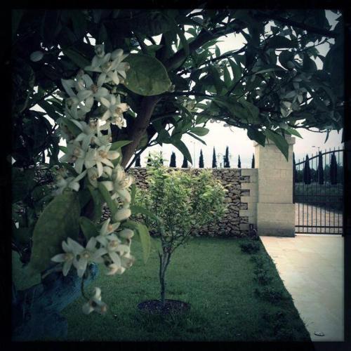 This photo about Masseria San Polo shared on HyHotel.com