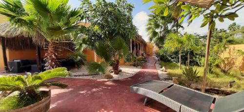 trädgård, B&B Casa Trankilo near Flamingo-Bonaires internationella flygplats trädgård, B&B Casa Trankilo near Flamingo-Bonaires internationella flygplats