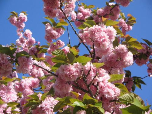 This photo about Hotel Maria shared on HyHotel.com