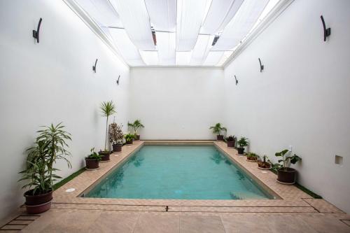 Swimming pool, La Casa de Pino in Oaxaca Swimming pool, La Casa de Pino in Oaxaca