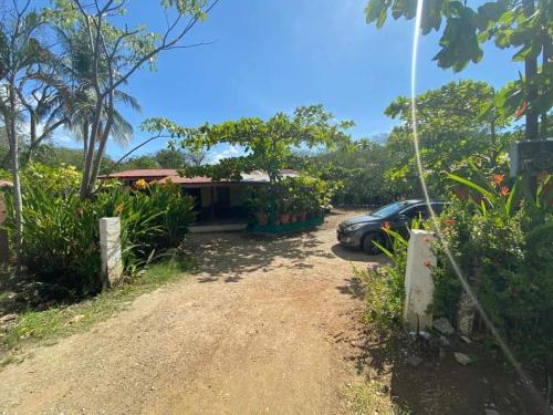 Coco verde in Coco Coco verde in Coco