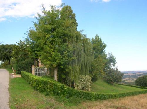 Villa lussuosa con piscina e giardino 350m2 in Montottone Villa lussuosa con piscina e giardino 350m2 in Montottone