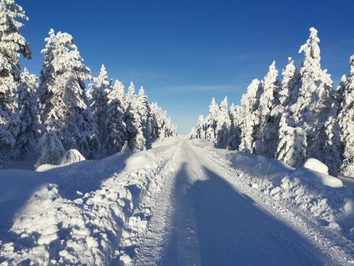 Surrounding environment, Maglelin Experience Lodge in Akaslompolo Surrounding environment, Maglelin Experience Lodge in Akaslompolo