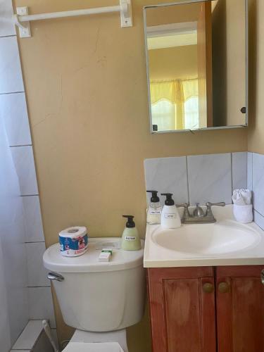 Salle de bain, Beverley's Guest House, Nevis in Charlestown Salle de bain, Beverley's Guest House, Nevis in Charlestown