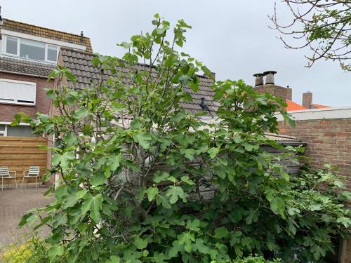 Сад, Volledig gerenoveerd-Studio aan het strand in Зутеланд Сад, Volledig gerenoveerd-Studio aan het strand in Зутеланд