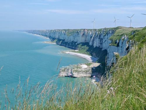 Le Seringat in Saint Leonard Le Seringat in Saint Leonard