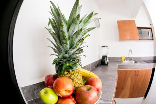 Food and beverages, Maui Hostel in Playa Del Carmen Food and beverages, Maui Hostel in Playa Del Carmen