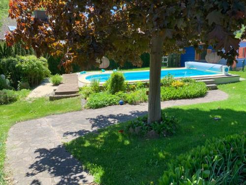 Swimming pool, Haus Zwolf in Dahn Swimming pool, Haus Zwolf in Dahn
