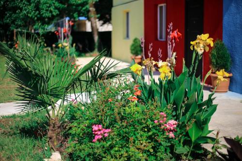 花園, NOVEL HOUSE in 馬爾特維利 花園, NOVEL HOUSE in 馬爾特維利