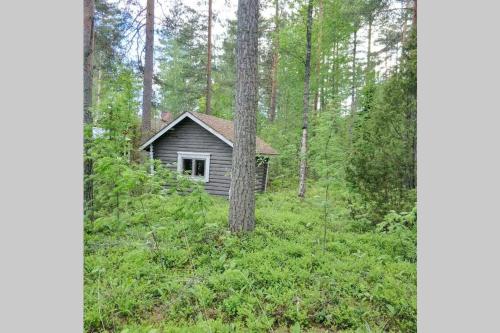Cotteg Marjakallio (BerryRock) in Punkaharju Cotteg Marjakallio (BerryRock) in Punkaharju