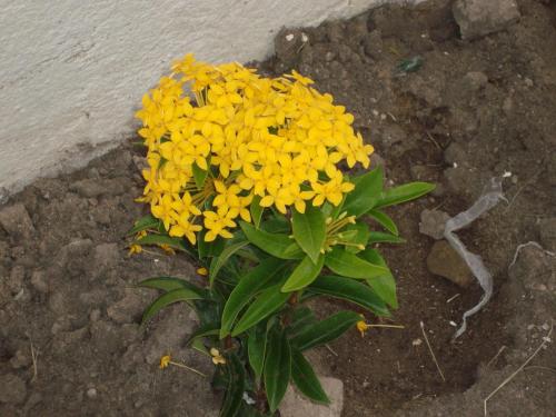 This photo about Tambau Hostel shared on HyHotel.com