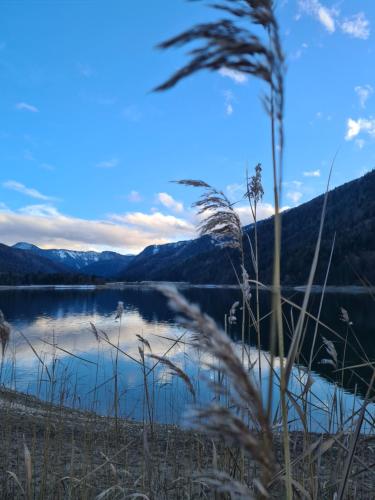 Ferienhaus Gerlach in Hintersee Ferienhaus Gerlach in Hintersee