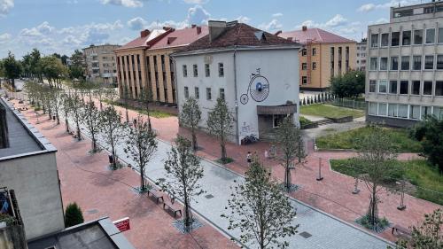 Central Boulevard Apartment in Siauliai Central Boulevard Apartment in Siauliai