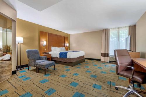 Зручності, Comfort Suites near MCAS Beaufort in Бофорта (Південна Кароліна) Зручності, Comfort Suites near MCAS Beaufort in Бофорта (Південна Кароліна)