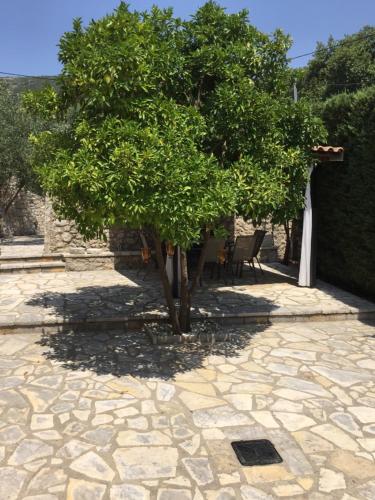 حديقة, Eleatis in Margariti حديقة, Eleatis in Margariti