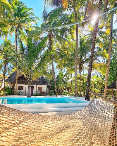 Basen, Zanzibar Gem Beach Bungalows in Bwejuu Basen, Zanzibar Gem Beach Bungalows in Bwejuu