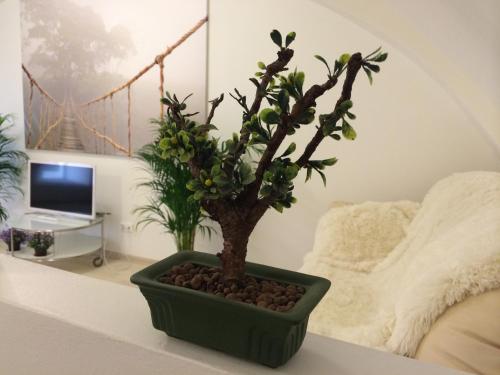 This photo about Apartment Blizko shared on HyHotel.com