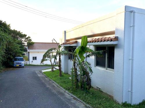 New Open!!! BRIDGE 小浜島 in Taketomi New Open!!! BRIDGE 小浜島 in Taketomi