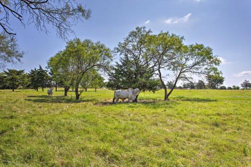 Texas Countryside Retreat on 130 Acres! in Plano Texas Countryside Retreat on 130 Acres! in Plano