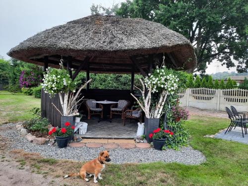 حديقة, Bursztynek Łunowa (Bursztynek Lunowa) in Lunowo حديقة, Bursztynek Łunowa (Bursztynek Lunowa) in Lunowo