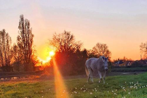 obouduchemin in Jaligny-sur-Besbre obouduchemin in Jaligny-sur-Besbre