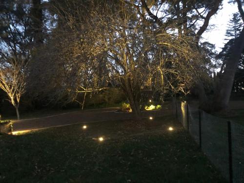 Little Chelsea in Moss Vale Little Chelsea in Moss Vale