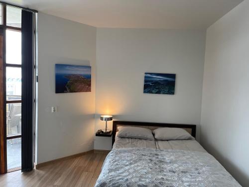 Helgrindur Guesthouse in 格倫達爾福傑德 Helgrindur Guesthouse in 格倫達爾福傑德
