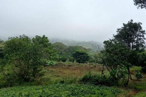 Finca Apapachos in Σεμπακο Finca Apapachos in Σεμπακο