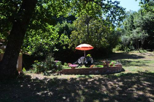 Il Giardino Secreto in Manziana Il Giardino Secreto in Manziana