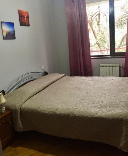 Irina's Apartment Old Tbilisi centr Mtatsminda