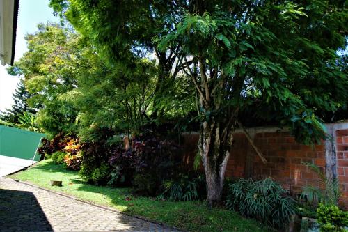 Garden, Amazilia Hotel in Cerritos Garden, Amazilia Hotel in Cerritos