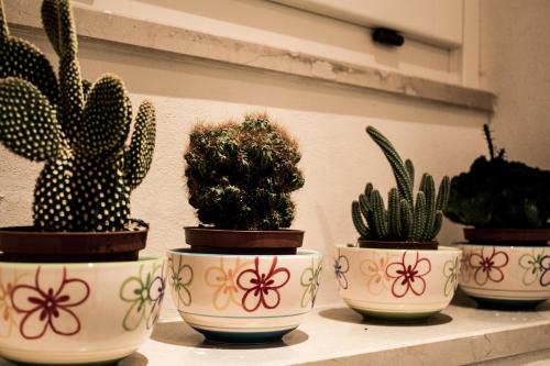 This photo about Il Claustro - Piccolo Albergo Diffuso shared on HyHotel.com