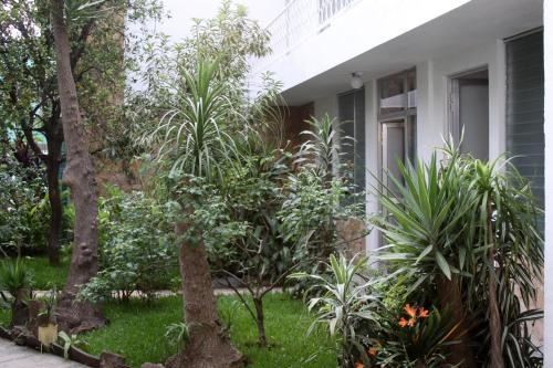 Exterior view, Super Precio in Zone 9 Exterior view, Super Precio in Zone 9