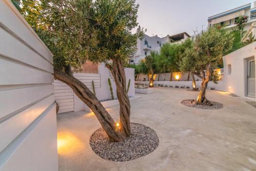 Acanthus Houses in Tinos Acanthus Houses in Tinos