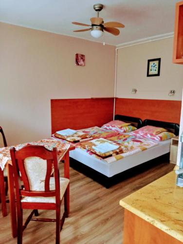 Liza Apartman in Ujvaros Liza Apartman in Ujvaros