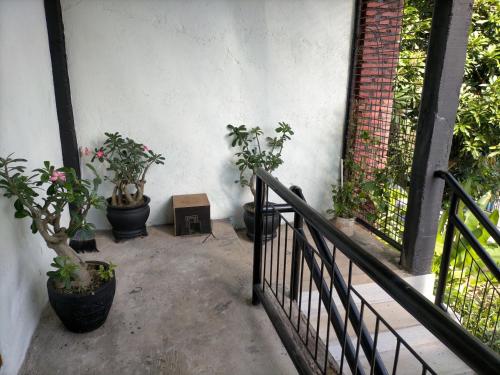 Entrance, Kendang Kempul Hostel in Banyuwangi Entrance, Kendang Kempul Hostel in Banyuwangi