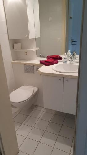 Baño, Golfo d'Oro in Ascona Baño, Golfo d'Oro in Ascona