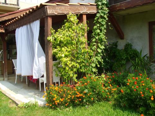 艾里達旅館 (Elida Guest House) in 沙布拉 艾里達旅館 (Elida Guest House) in 沙布拉