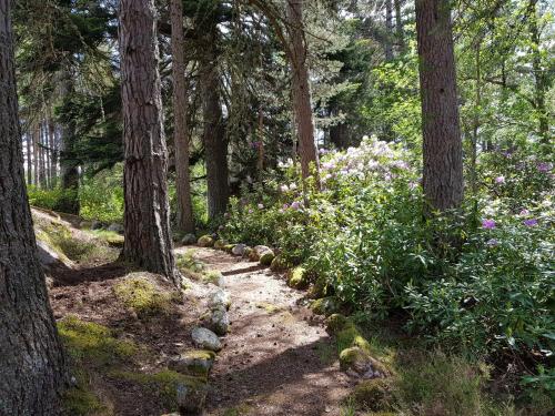 A környék, Cambus O' May Traditional Highland Hotel in Ballater A környék, Cambus O' May Traditional Highland Hotel in Ballater