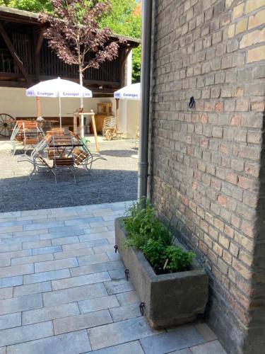 Fasiliteter, BürgerhausLöwen (BurgerhausLowen) in Lampertheim Fasiliteter, BürgerhausLöwen (BurgerhausLowen) in Lampertheim