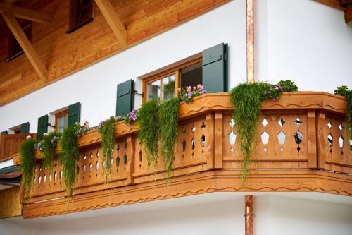 Alpenblute in Reit im Winkl Alpenblute in Reit im Winkl