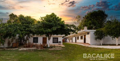 Garden, Bacalike Temazcal in Luis Donaldo Colosio Garden, Bacalike Temazcal in Luis Donaldo Colosio