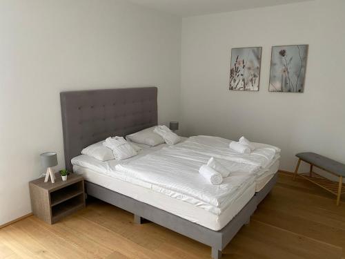 Residence Bellevue by Alpin Rentals in Zell Am See Residence Bellevue by Alpin Rentals in Zell Am See