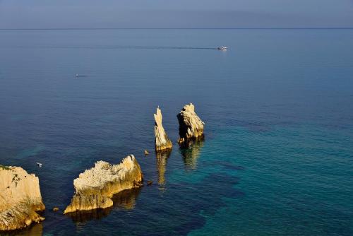 This photo about Miss Sicily B&B shared on HyHotel.com