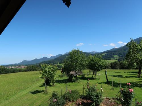 Beim Grafen in Frasdorf Beim Grafen in Frasdorf
