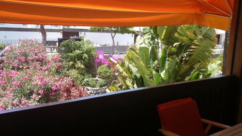 This photo about Club Canario shared on HyHotel.com