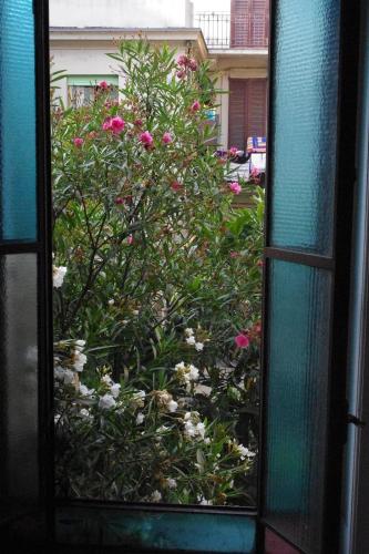 This photo about Hotel Alba shared on HyHotel.com